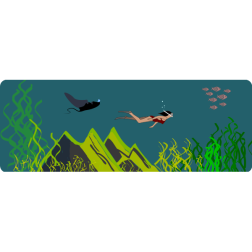 snorkeling
