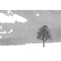 A tree in a winter landscape