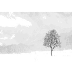 Winter landscape a lonely tree