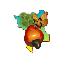 socaboma