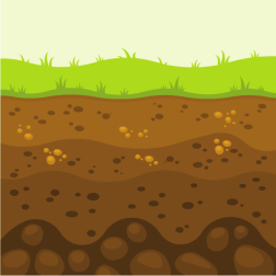 Soil-1774293098