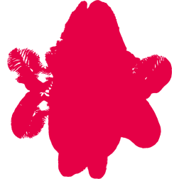 Rorschach test