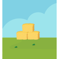 Bales of hay