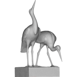 Stork couple