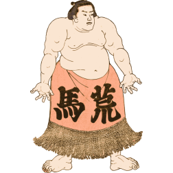 Sumo Guy