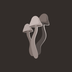 Tiny mushrooms
