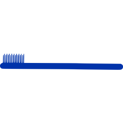Blue toothbrush