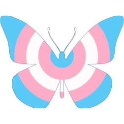 transbutterfly