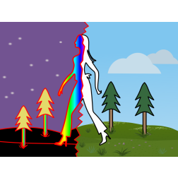 Transformation of the woman