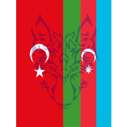 Turkish and Azerbaijan flag mix