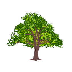 Green tree-1628028809
