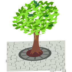 Tree on the pavement