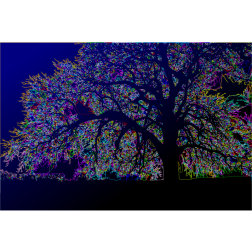 Surreal tree silhouette