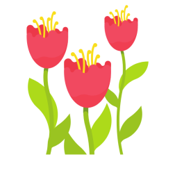 Tulip flowers-1777233561
