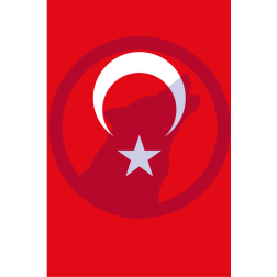 Turkish flag vertical position