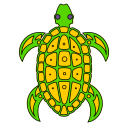 Turtle from the top