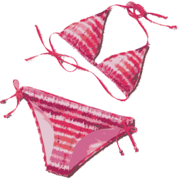Unworn bikini
