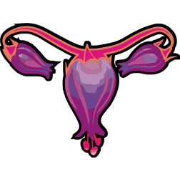 Feminine flower