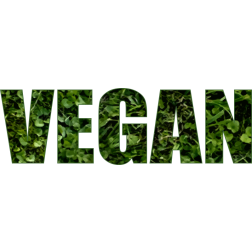 Vegan - Text Remix
