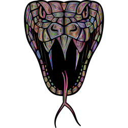 Viper psychedelic