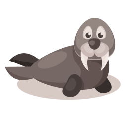Cute walrus