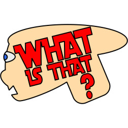 What is that?