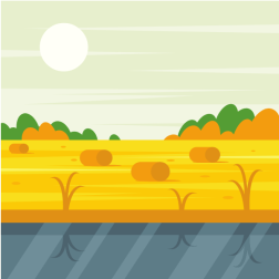 Wheat fields-1726596114