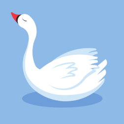 Cute white swan