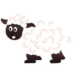 whitesheep
