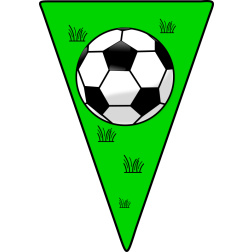 Pennant Soccer ball 2021