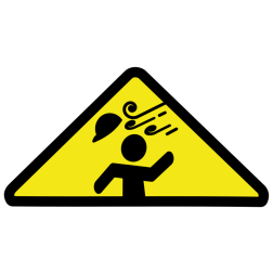 Wind Warning