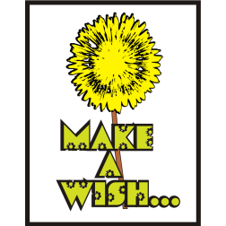 Make a wish