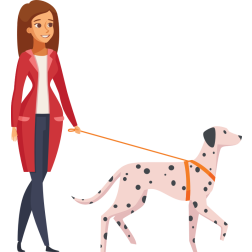 Woman and Dalmatian dog