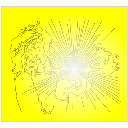wonder yellow