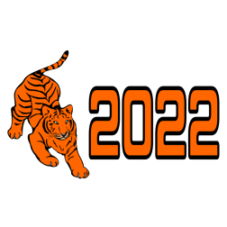 Year of the Tiger 2022