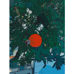 Pomegranate on a Tree